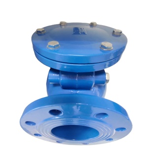 <span class=keywords><strong>Clapet</strong></span> <span class=keywords><strong>anti</strong></span>-<span class=keywords><strong>retour</strong></span> à disque en fonte ductile recouvert d'EPDM pour le traitement des eaux usées et l'irrigation de l'<span class=keywords><strong>eau</strong></span> <span class=keywords><strong>potable</strong></span> - Product Image 2