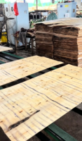 Couteaux de précision pour le découpage de fines plaques de bois, couramment utilisés dans les machines à découper et les trancheuses de placages.