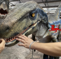 Costume de dinosaure animatronique réaliste en acier imprimé en 3D pour une utilisation en extérieur et en intérieur dans les centres commerciaux et les espaces publics
