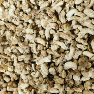 Корни <span class=keywords><strong>Shiitake</strong></span>, оптовая продажа, чистые сушеные стебли <span class=keywords><strong>shiitake</strong></span> для продажи - Product Image 2