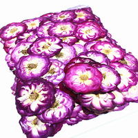 Rose naturelle pressée pour herbarium, fleurs pressées pour peinture, accessoires photo, décoration intérieure