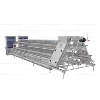 Cage à batterie de type A pour poules pondeuses, cages automatiques pour poulets, équipement d'élevage avicole pour pondeuses