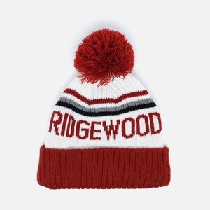 High Quality Customizable Bobble Hat Thick Beanie With 3D Embroidery Logo Pompom Style Character or Camouflage Pattern - Product Image 2