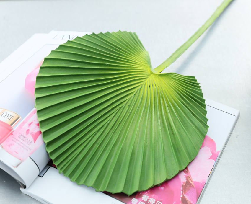 ใบตองยาว 55 ซม.