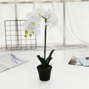B0042 Flores <span class=keywords><strong>de</strong></span> Orquídeas Artificiales al por Mayor, Plantas <span class=keywords><strong>de</strong></span> Orquídeas Tailandesas, Plantas <span class=keywords><strong>de</strong></span> Flores Artificiales, Orquídeas Phalaenopsis Decorativas Hechas a Mano - Product Image 3