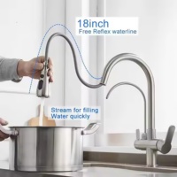 Robinet pulvérisateur moderne à double poignée en laiton poli Meybert, avec cartouche céramique, monotrou, à poser sur le plan, pour salle de bain d'hôtel