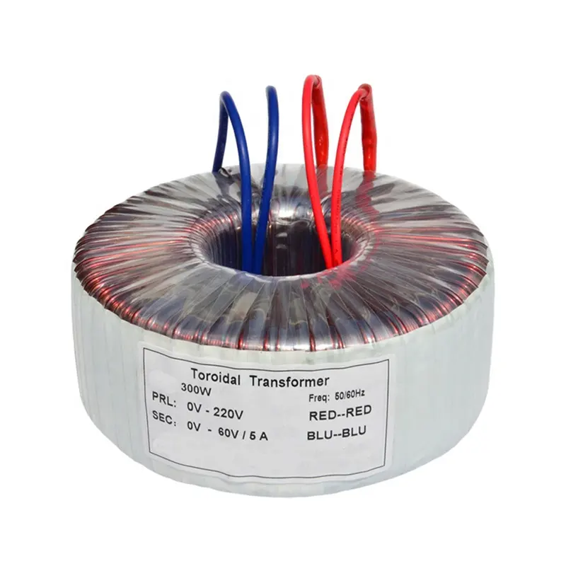 China Customized Power Amplifier 300VA Toroidal Transformer Manufacturer