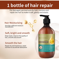 KOGEEYY 500ml Série Herbes Naturelles Extrait de Gingembre Nourrissant Ginseng Volumisant Huile d'Olive Purifiante Shampoing Capillaire Soyeux à la Noix de Coco