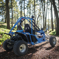 150cc 200cc essence hors route plage dune Buggy Cross Go Karts