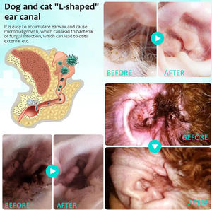 <span class=keywords><strong>Traitement</strong></span> anti-acariens pour chiens et chats sous marque privée, Gouttes pour l'infection auriculaire, Gouttes nettoyantes pour les oreilles des animaux avec aloe vera apaisant - Product Image 5