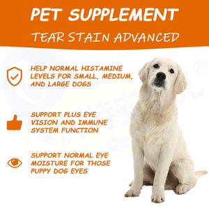 Apaiser les <span class=keywords><strong>allergies</strong></span> saisonnières soutenir les démangeaisons immunitaires intestin santé chiens suppléments pour animaux de compagnie naturel doux mâche avec probiotiques zinc colostrum - Product Image 2