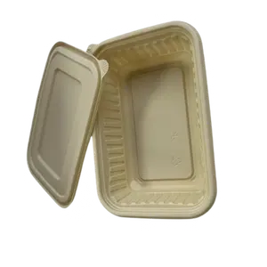 Boîte à lunch rectangulaire biodégradable Chauffage par micro-ondes Vaisselle et vaisselle jetables en plastique PP-Bol