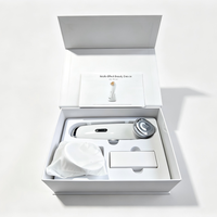 Appareil de beauté facial LED à électroporation OEM ODM, masseur facial à micro-courant, outil de lifting du visage pour le soin et le raffermissement de la peau