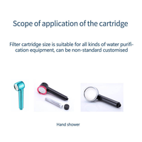 Cartouche de vitamine C ACF pour pommeau de douche à piles en plastique à usage domestique élimine le chlore résiduel et les métaux lourds