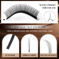 Extensions de cils 5D Flora Spikes en gros, cils féériques 5D effilés C/D/LC/LJ/LU, base plate, faux cils préfabriqués effet mouillé