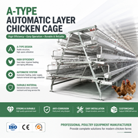 Équipement avicole en gros : Cage à batterie à étages et système d'abreuvement pour l'élevage industriel de poulets