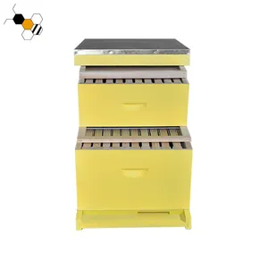 2 Layers Langstroth Bee Hives For Sale Wooden Bee Box Bee Hive Price