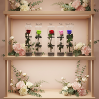 Rose unique naturelle préservée de haute qualité, faite à la main, véritable, longue durée, immortelle, éternelle, roses préservées avec tige