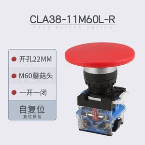 Interrupteur à bouton-poussoir autobloquant électrique CNTD Changde CLA38-11M60L-R en plastique avec trou de montage de 22 mm - Product Image 5