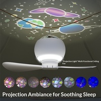 Ventilateur portable multifonction créatif à projection d'étoiles LED pour l'extérieur, lampe d'urgence rechargeable, ambiance camping, petit ventilateur suspendu