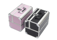 Valise à cosmétiques à double plateau, petite valise à cosmétiques en aluminium