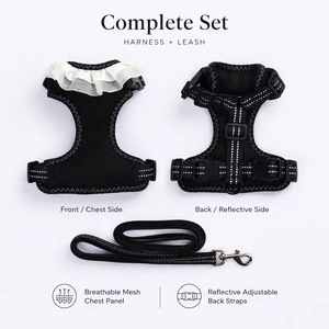 Cute Lace Frill <b>Pet</b> Dog <b>Harness</b> Leash Set Adjustable Reflective Mesh Puppy Vest <b>Harness</b> For Daily Outdoor Walk - Product Image 2
