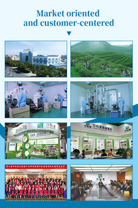 WinsTown Organic Chinese Herbal Flavor <b>Tea</b> - Product Image 6