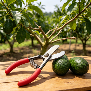 Tijeras Manuales para Aguacates <span class=keywords><strong>de</strong></span> Alta Calidad con Mango <span class=keywords><strong>de</strong></span> Plástico, Recolector <span class=keywords><strong>de</strong></span> Frutas Multiusos para Podar y Cosechar en el <span class=keywords><strong>Jardín</strong></span> - Product Image 2