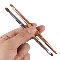Ensemble de 5 pinceaux à double embout de haute qualité pour nail art, avec poils plats et texture de nœuds de bois, manche en métal
