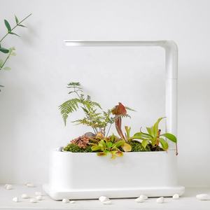 Sistema de Cultivo Hidropónico, Decoración del Hogar, Maceta Inteligente Moderna y Pequeña, Jardín de Hierbas Interior - Product Image 6