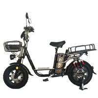 Vélo électrique russe modèle Yilan Princess 16 pouces, moteur arrière NFC, autonomie 55-65 km, pneus neige, assistance électrique, batterie lithium.