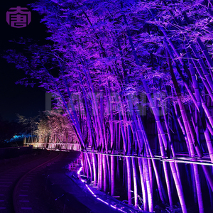 Luz de Color para Paisajismo, para Árboles, Jardines, Fachadas de Edificios, Parques, Resorts y Proyectos de Iluminación Comercial para Exteriores - Product Image 6