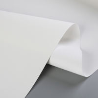 60 pouces Grand Format 3.2m Étanche Jet D'encre Toile Rouleau 320gsm Mat pour Affiche Bannière Pigment C 320gsm Mat Peinture Toile