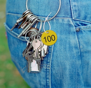 Etiquetas colgantes de identificación de marca numerada de plástico con número de 1 a 100, etiquetas de equipaje, etiqueta de identificación con anillos para Etiquetas de codificación de plantas de gabinete - Product Image 3