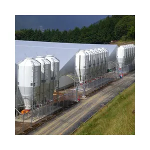 Assurance qualité Silos en fibre de verre Ferme avicole Stockage des aliments Silo Tour d'alimentation