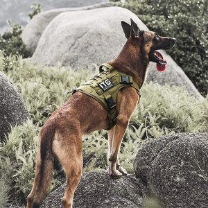 Kuat tugas berat nyaman Mesh patroli latihan taktis Adjustable Oxford layanan anjing <span class=keywords><strong>Harness</strong></span> - Product Image 6