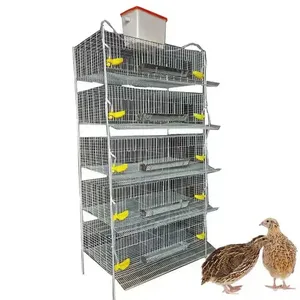 High Quality H Type Quail Cage 5 Layers Quail Breeding Cages For Poultry Farm