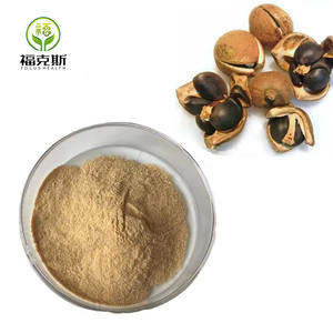 Suplementos Herbais de Alta Qualidade Extrato em Pó de Semente de Folha de Camélia <span class=keywords><strong>Sinensis</strong></span> 65% - Product Image 3