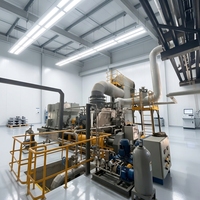 Groupe turbine-générateur à vapeur de biomasse industrielle pour applications d'alimentation électrique en usine