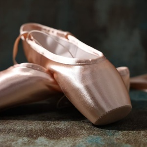 Chaussons de ballet professionnels en satin rose chair pour les pieds. Chaussures de danse classique pour adultes débutants, à semelle rigide, pour la pratique et la performance - Product Image 2
