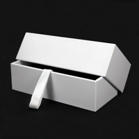 Boîte blanche Offre Spéciale d'emballage de téléphone portable de boîte-cadeau de carton avec votre propre logo pour l'iPhone Samsung
