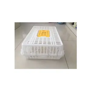 Plastic transport crate transporting pigeon cage HJ-DN019