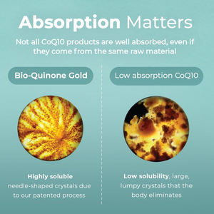 Capsules de CoQ10 de haute qualité, meilleure absorption, favorisent la santé cardiaque et l'énergie, gélules souples - Product Image 3