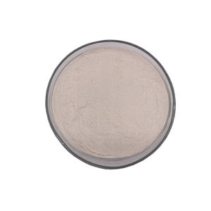 Bulk Food Supplement Pineapple Extract <strong>Bromelain</strong> &amp; Papain Powder 120000U/G 25kg Drum ISO Certified - Product Image 4