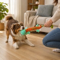 Jouet interactif pour chien et chat, luxueux, écologique, durable, mignon, en peluche douce, couineur, moderne, tendance, pour nettoyer les dents