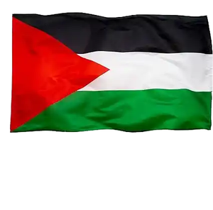 Wholesale Palestinian <b>Flags</b> for Events Digital Printing High Visibility Banners - Product Image 4