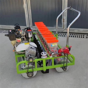 بذور الجسيمات الصغيرة الدقيقة الدقيقة لزراعة بذور الكرنب والفجل والخضراوات - Product Image 2