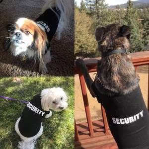 Köpek gömlek güvenlik kedi giyim kostümleri için Cosplay, nefes Pet t-shirt, köpekler için yaz giysileri yelek yavru erkek kız - Product Image 4