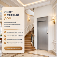 Ascenseur de villa pour maison de ville et résidence de campagne, ascenseur à traction sans machine, commande d'importation, programme d'approvisionnement pour acheteurs