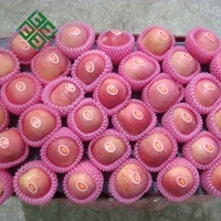 Rode Fuji Apple Verse Apple Met China Leverancier